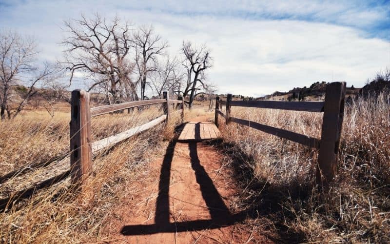 trail in garden of the gods