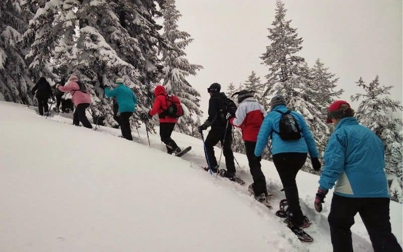 A group of people wearing snowshoes going up a slope on a snowy mountain