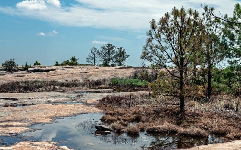 Arabia Mountain