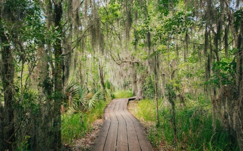 Barataria Preserve, Jean Lafitte National Historical Park and Preserve