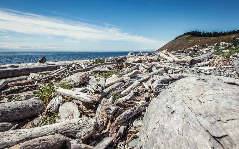 Bluff Trail, Ebey’s Landing National Historical Reserve