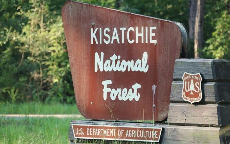 Caroline Dormon Trail, Kisatchie National Forest