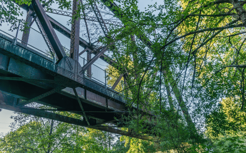 Cedar River Trail