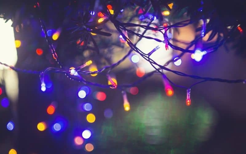 Colored string lights hung outside