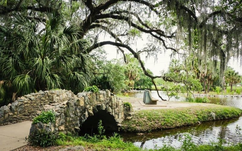 Couturie Forest, New Orleans City Park