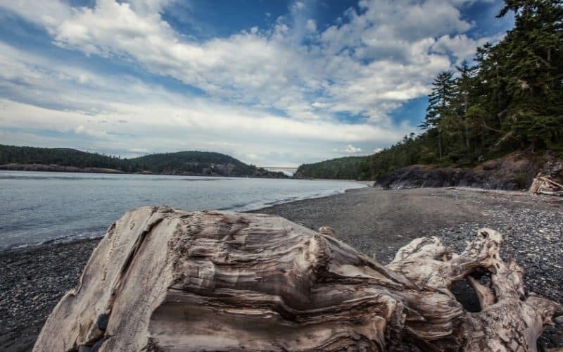 Cranberry Lake Campground, Deception Pass State Park