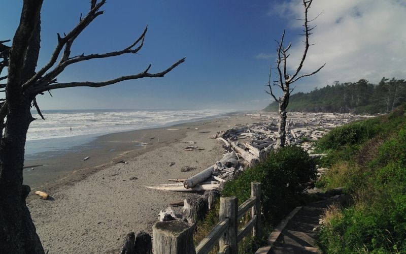 Kalaloch Campground, Olympic National Park