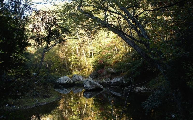 Natural Bridge and Laurel Ridge Trail