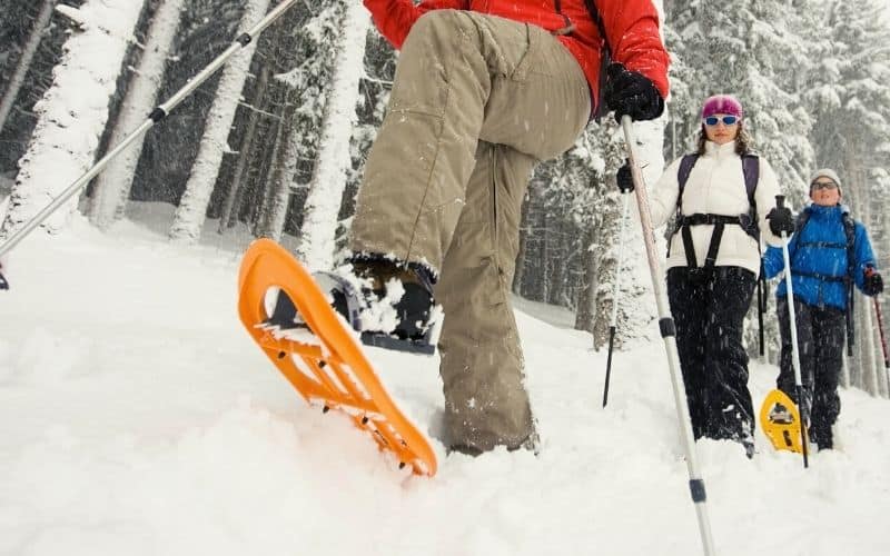 People walking through powdery snow wearing snowshoes