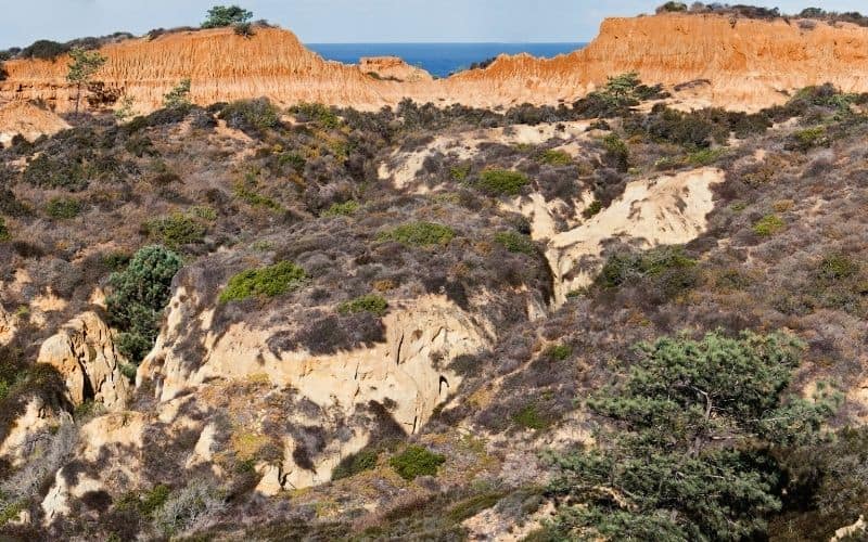 Red Ridge Loop Trail