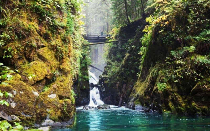 Sol Duc Campground, Olympic National Park