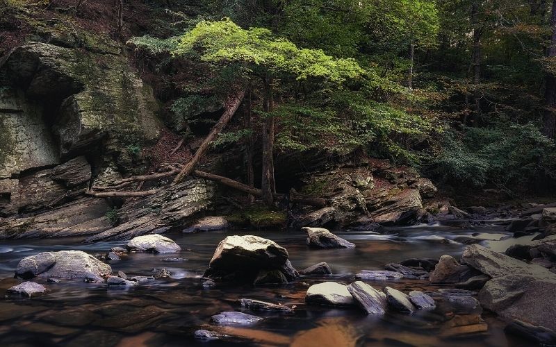 Sope Creek Trail