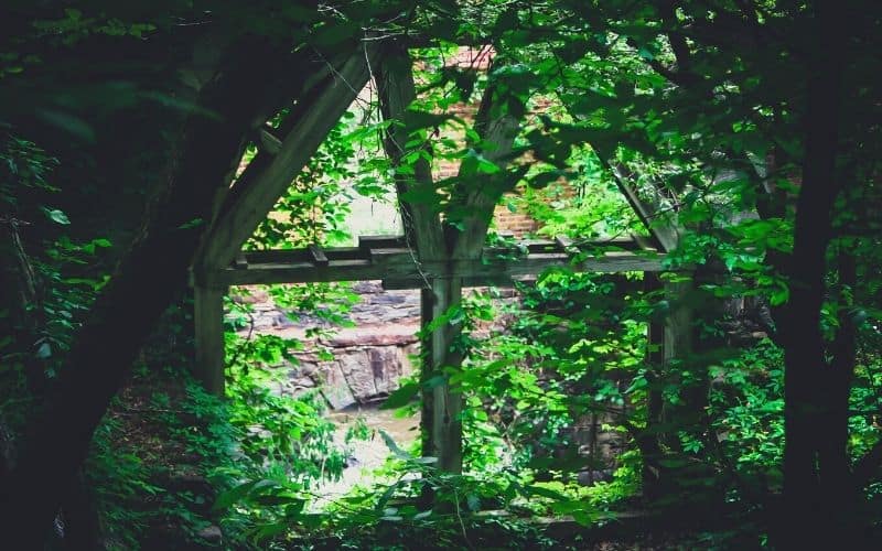 Sweetwater Creek Red Trail