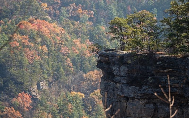 Torrent Falls, Kentucky’s Red River Gorge