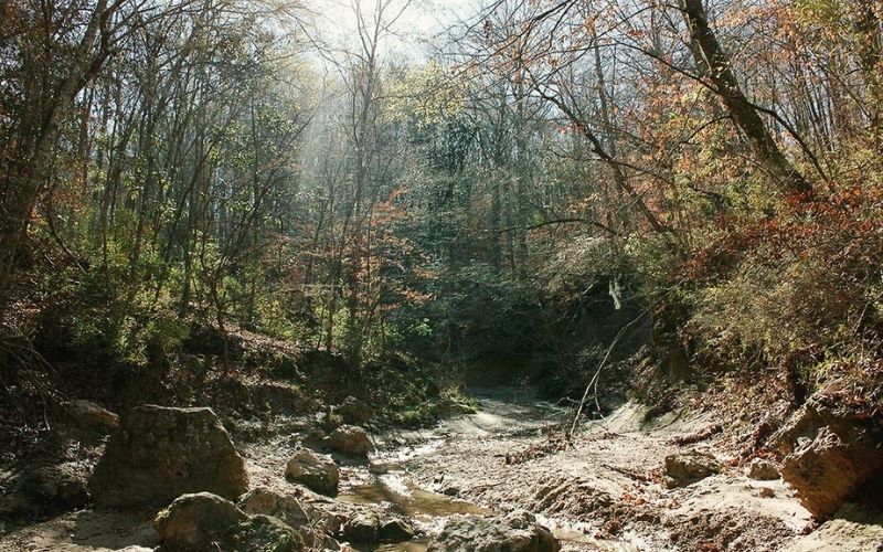 Trail C, Tunica Hills Wildlife Management Area