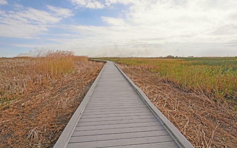 Wetland Walkway Boardwalk Trail, Sabine National Wildlife Refuge