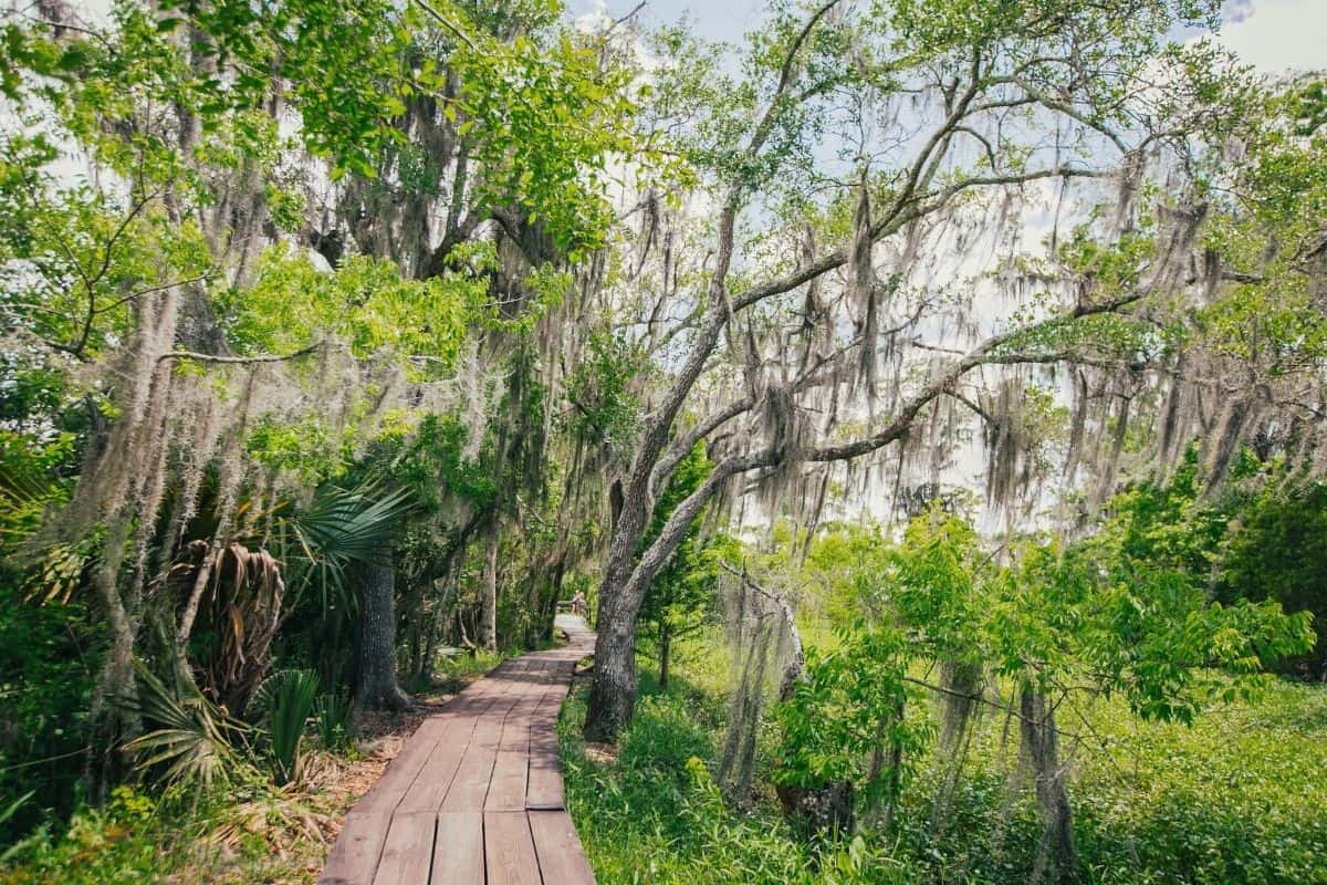 best hikes in Louisiana - feat img