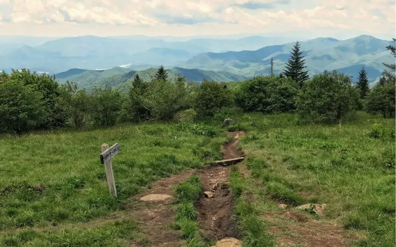 Andrews Bald Trail, Tennessee