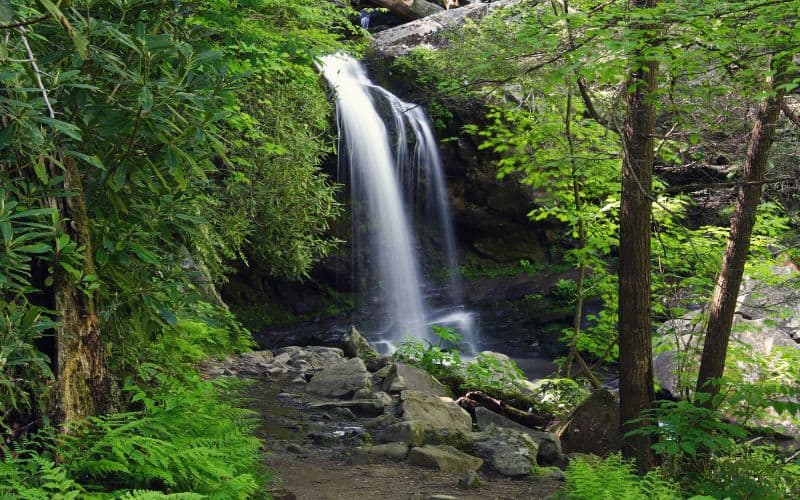 Grotto Falls, Tennessee