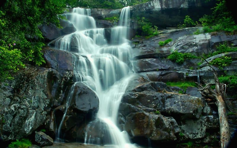 Ramsey Cascades Tennessee