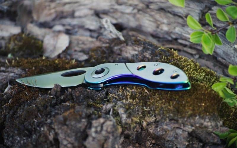 Stainless steel knife laying on mossy log