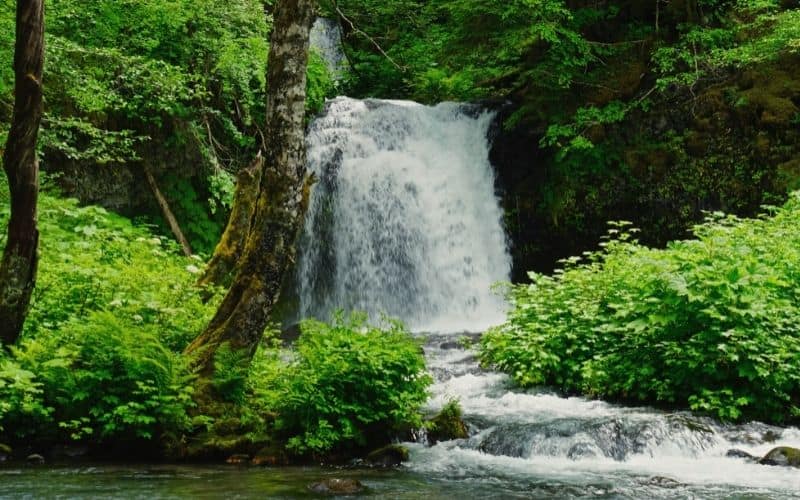 Twin falls, Washington