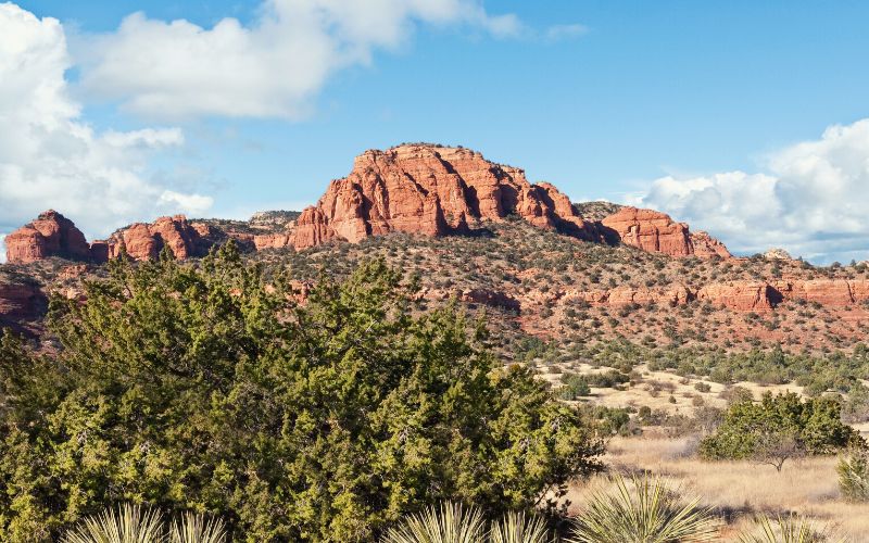 bear mountain sedona