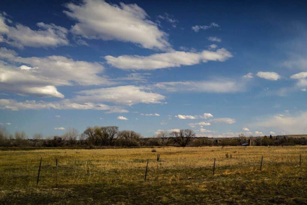 Bobolink Trail