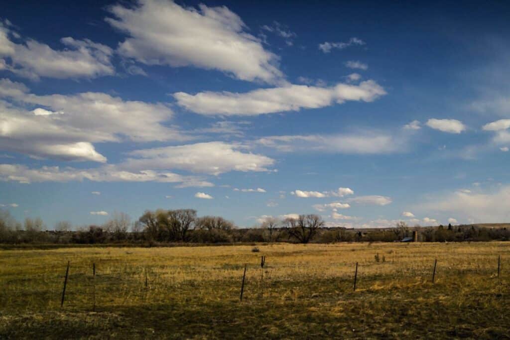 Bobolink Trail