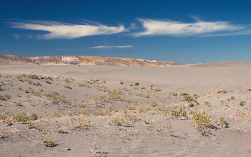 Bruneau Dunes State Park, Idaho