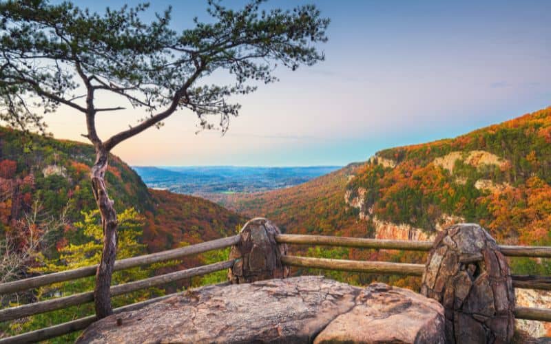 Cloudland Canyon Georgia