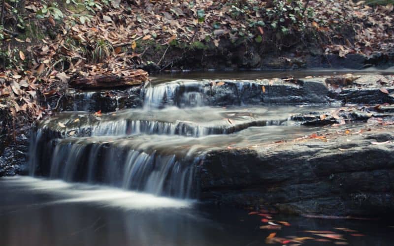 F.D. Roosevelt State Park Georgia
