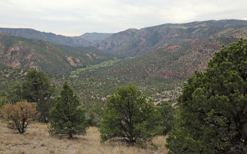 Gila National Forest New Mexico