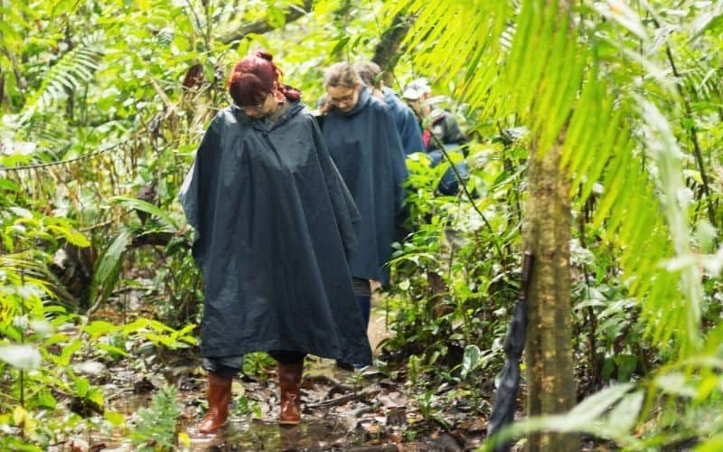 Group of people hiking through jungle wearing rain ponchos