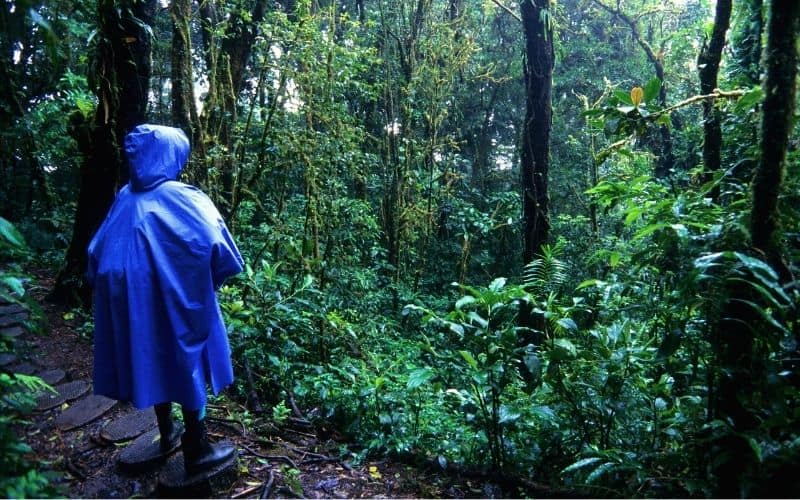 Hiker wearing rain poncho over backpack