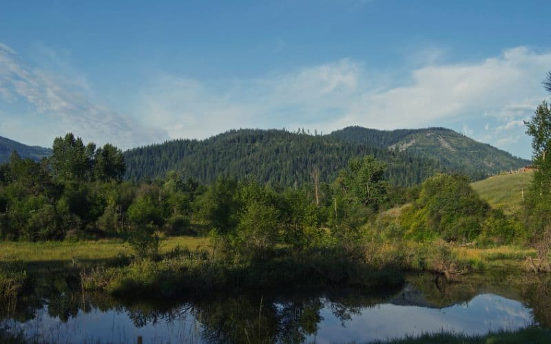 Idaho Panhandle National Forest