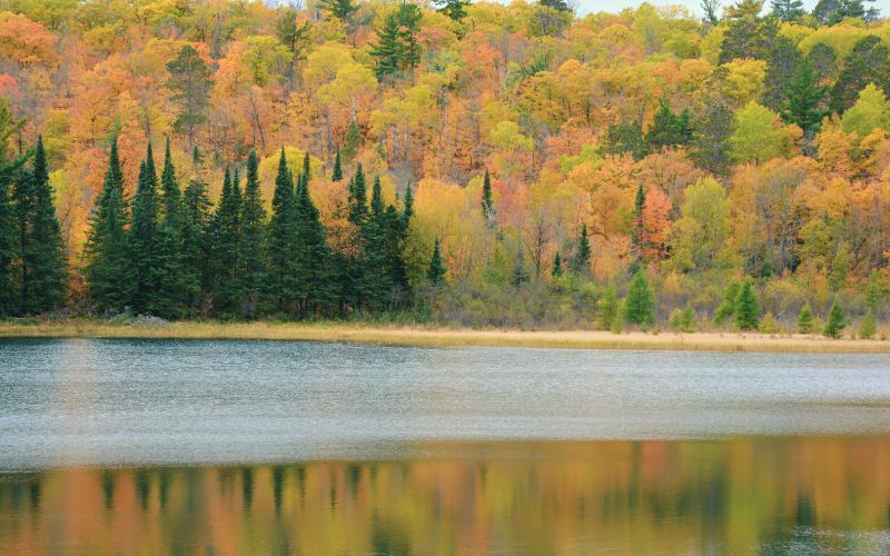 Itasca State Park Minnesota