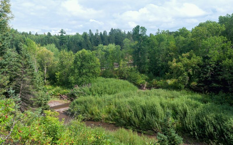 Jay Cooke State Park