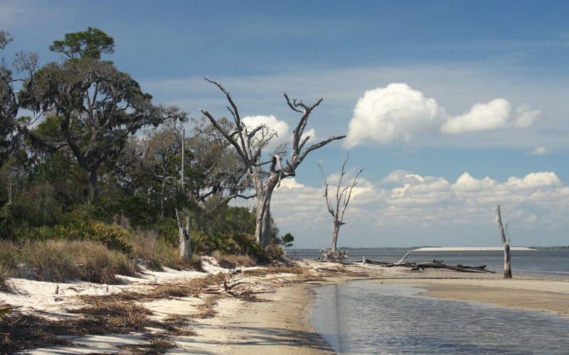 Shoreline of Jekyll Island Georgia