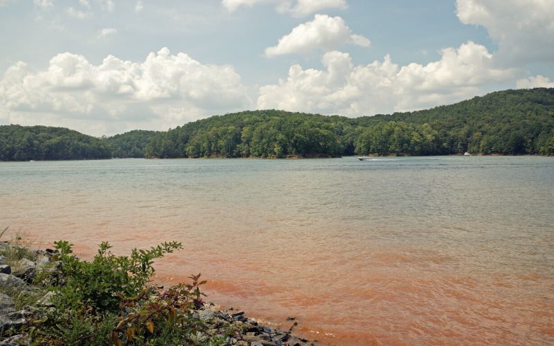 Lake Allatoona Georgia
