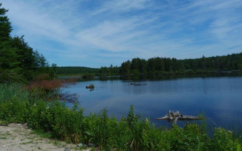 Laurel Ridge Camping Area, Massachusetts