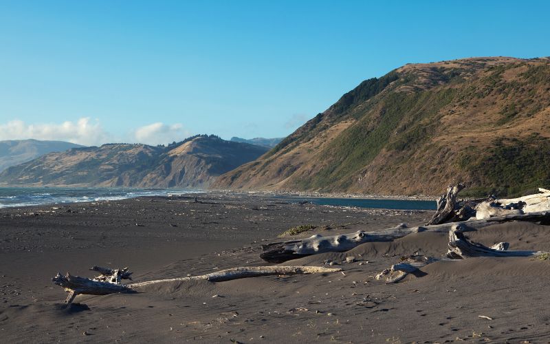 Mattole beach Lost Coast Trail