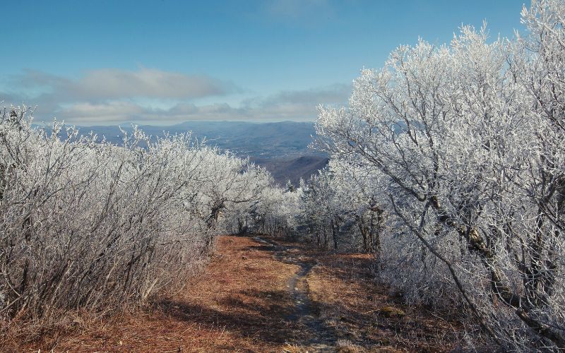 Mount Greylock, Massachusetts