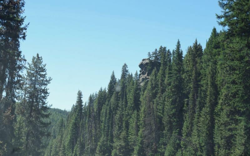 Nez Perce-Clearwater National Forest, Idaho