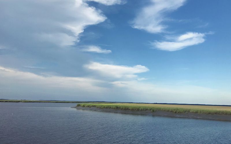 Ogeechee River Georgia
