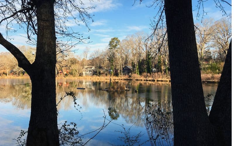 Pine Lake Georgia