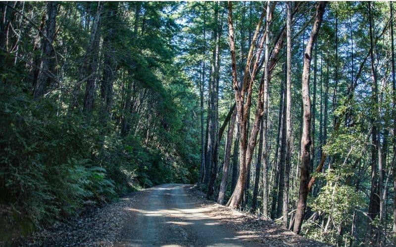 Road to King Range National Conservation Area, LCT