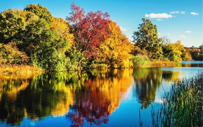 Shawme-Crowell State Forest, Massachusetts