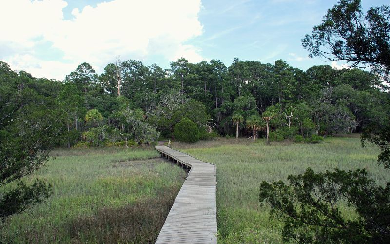Skidaway Island, Big Ferry Trail, Georgia