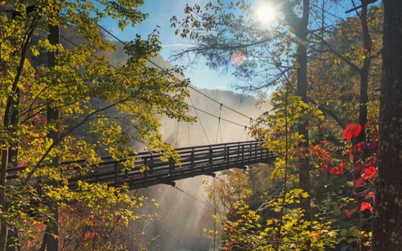 Tallulah Gorge State Park suspension bridge, Georgia